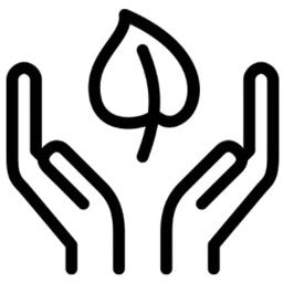 Wir kompensieren unsere CO2-Emissionen durch den Schutz der Wälder auf der ganzen Welt.