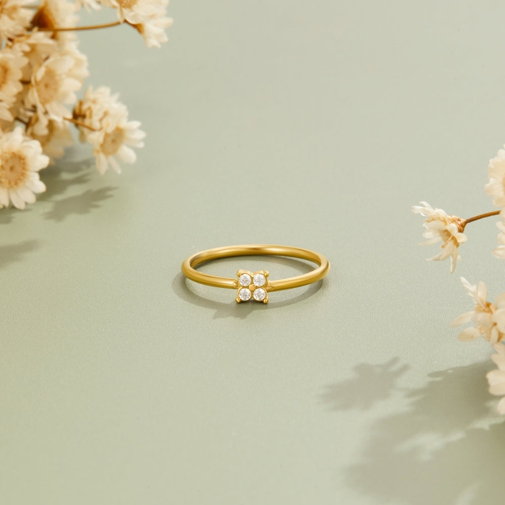 Edelstahl - RING Schablone